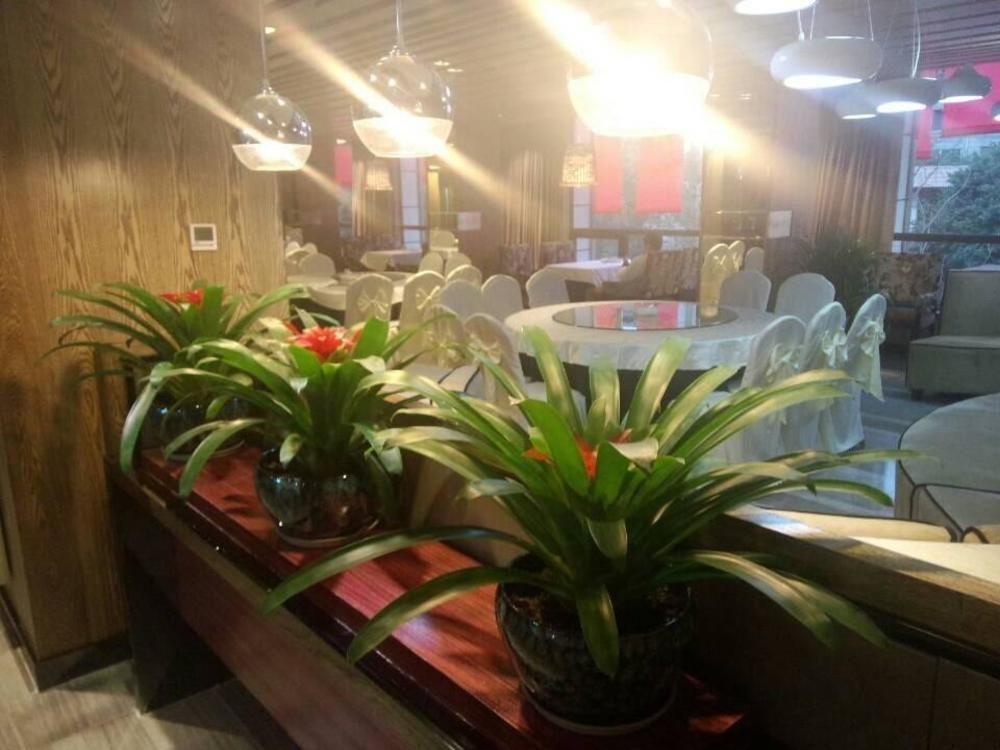 Chengdu Hello Hotel CTU Esterno foto
